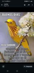 Victoria Godoy