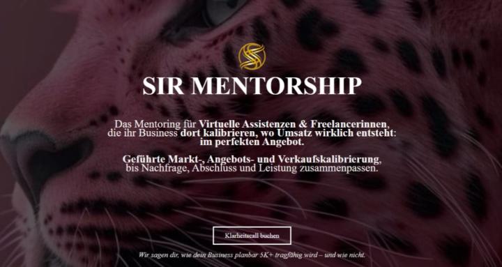 SIR Mentorship @VA-Finden