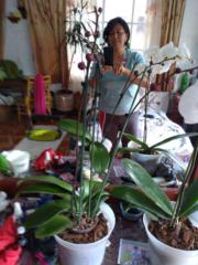 Luz Plaza Alvarez Maria Lucia