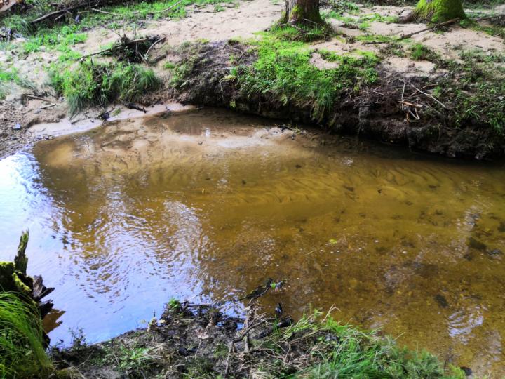 News From czech From George 