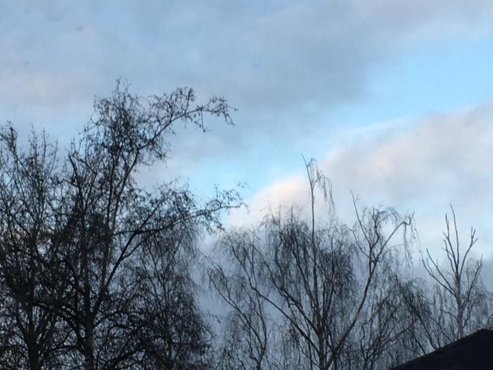 What grabs your attention to bring you into the present moment?