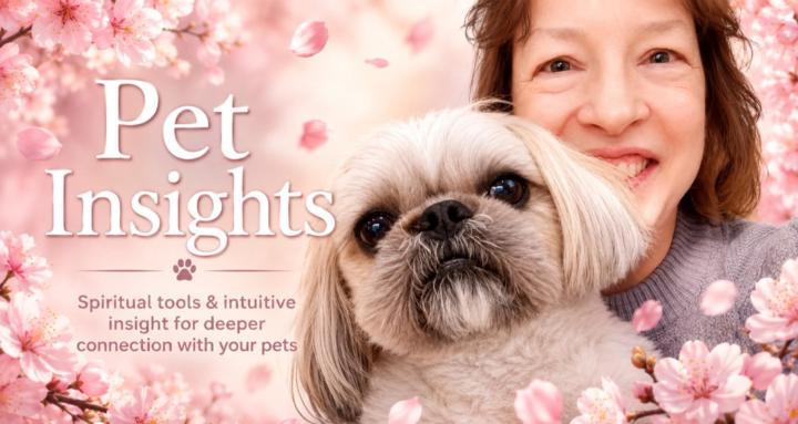 Pet Insights