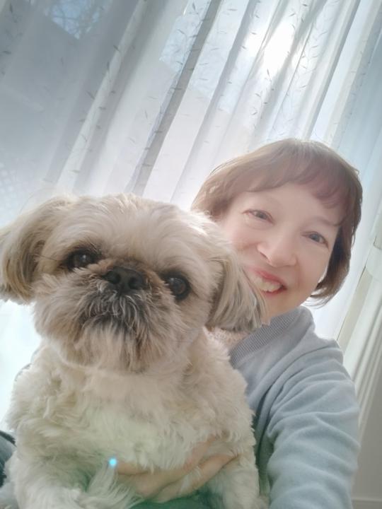 What is Pet Insights all about? 🐶😺