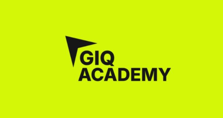 Game IQ Academy