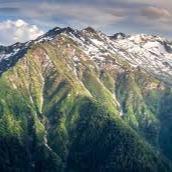 Muhammed Taha Sarıçiçek