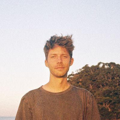Pieter V