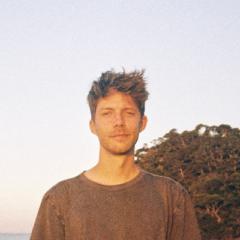 Pieter V