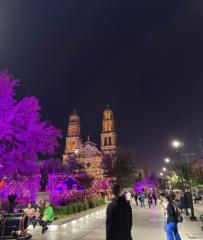 Marcos Manuel Almeida Valdés