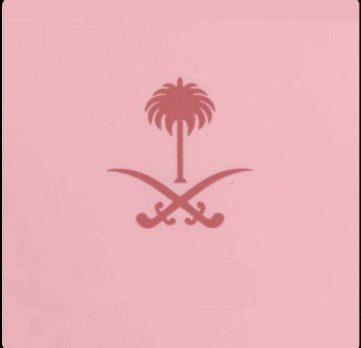 Alanoud Ali
