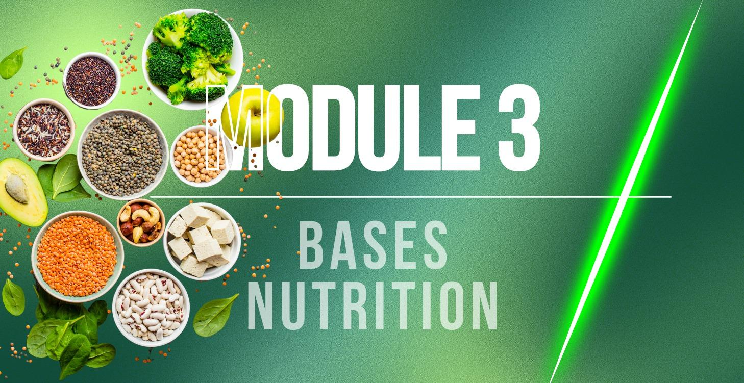 Les bases de la nutrition