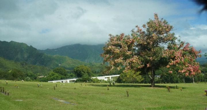 Nitafan Fitness Coaching