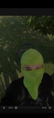 Green Digit