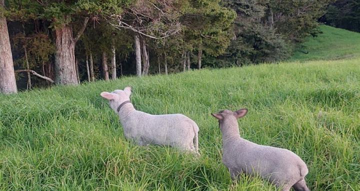 Off grid living, unschooling