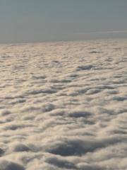 Tracy Edwards