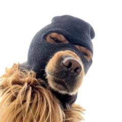 Dale Ski