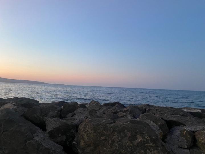 Рая Абарова