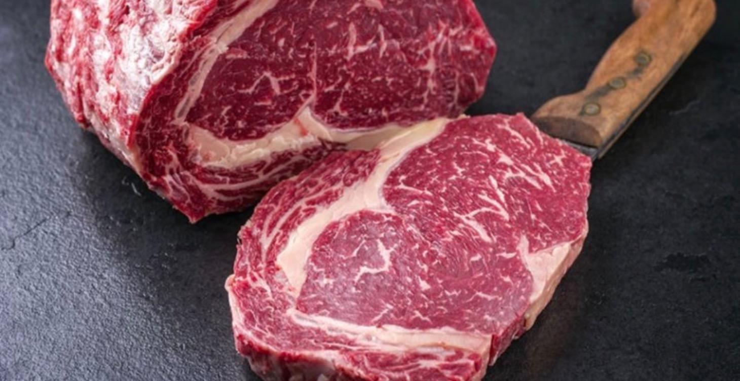 The Carnivore Code
