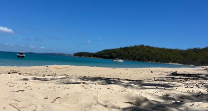 MindShift Collective