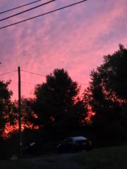 Margaret DeJesus-Irizarry