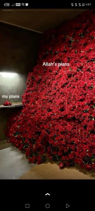 Esraa Jamal