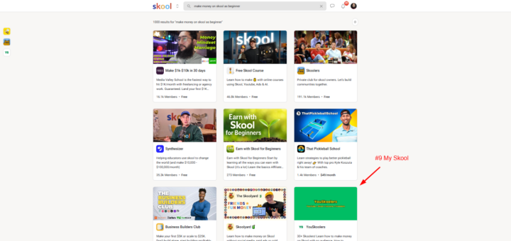 I Ranked my Skool in top 10 in 15 Days without Ads