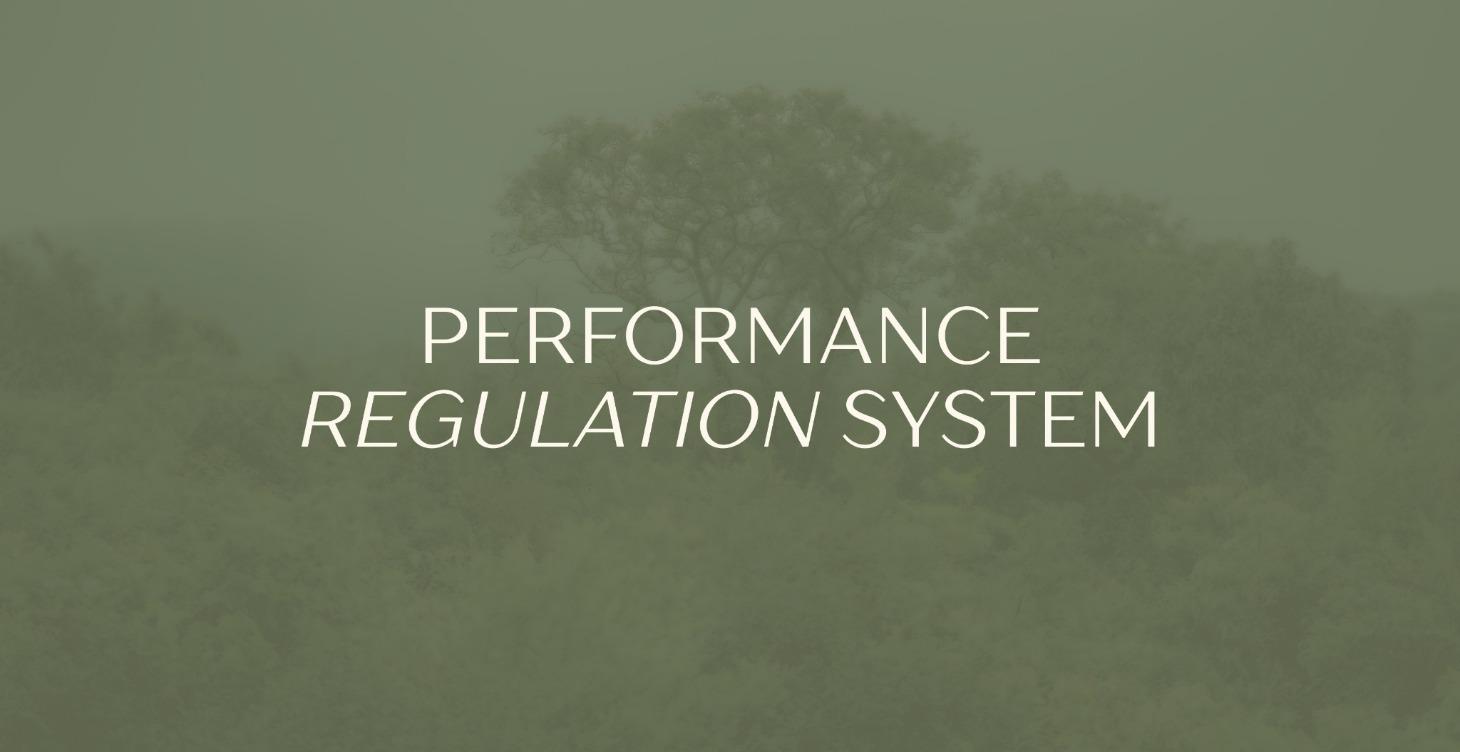 Performance Regulation System Course