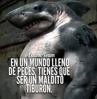 Ruben Calderón Vega