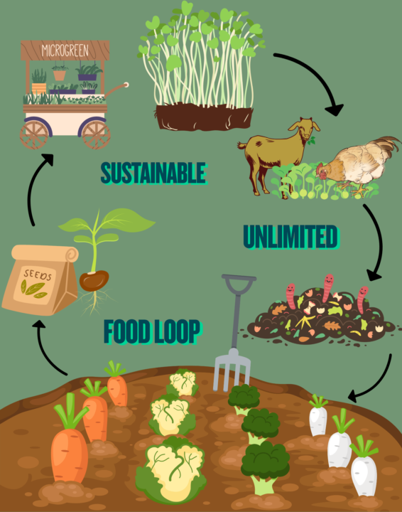 Welcome to my Microgreens, Gardening, Farming, Prepping, & Homesteading Ecosystem 