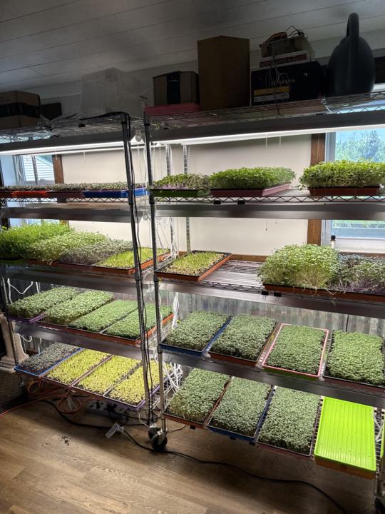 Grow Room Looking Hot 🥵 