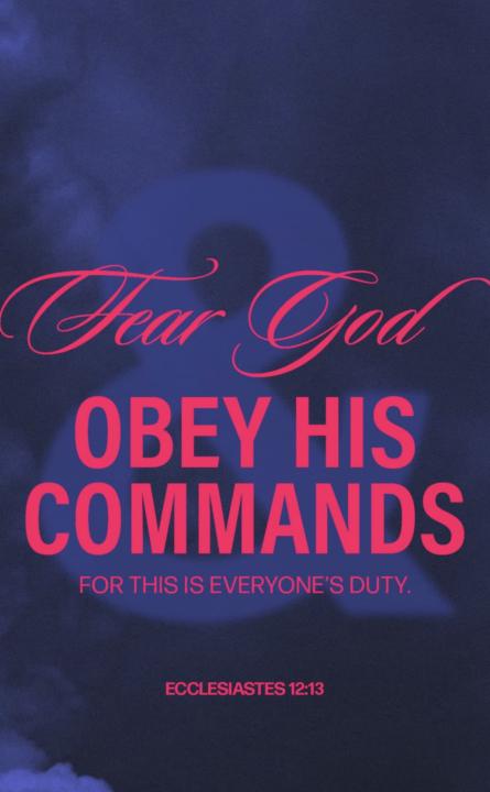 Will be incorporating a weekly live where yall can tap in and talk to me 