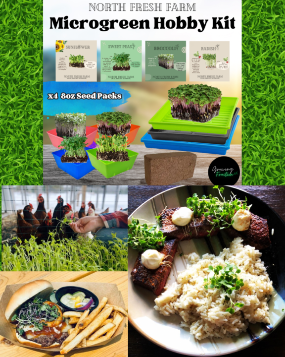 Growing MicroNutrients 