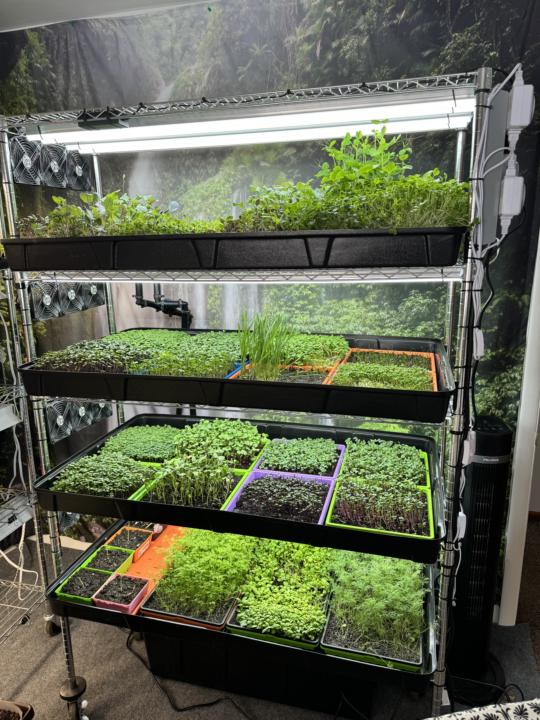 About to Plant a Portion of Starters🌱