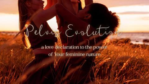 Pelvis Evolution Community gallery image