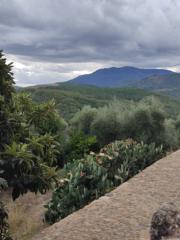 María reyes Jiménez