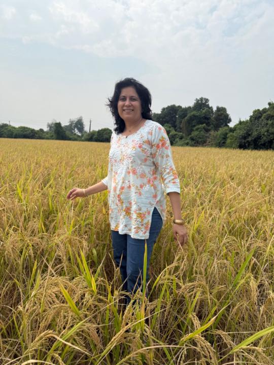 Ami Patel