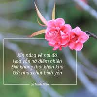 Nguyễn Thu Minh An