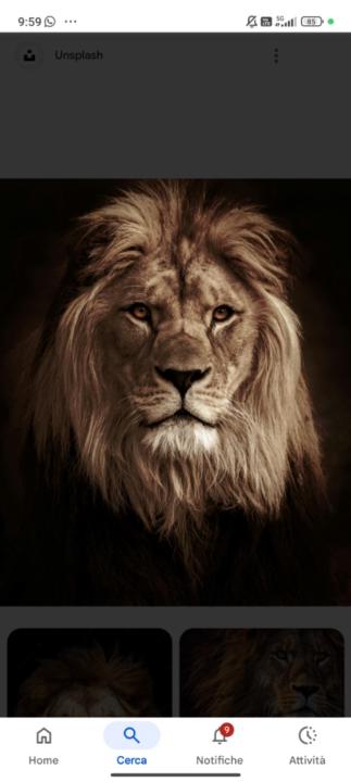 Christian Falcicchio