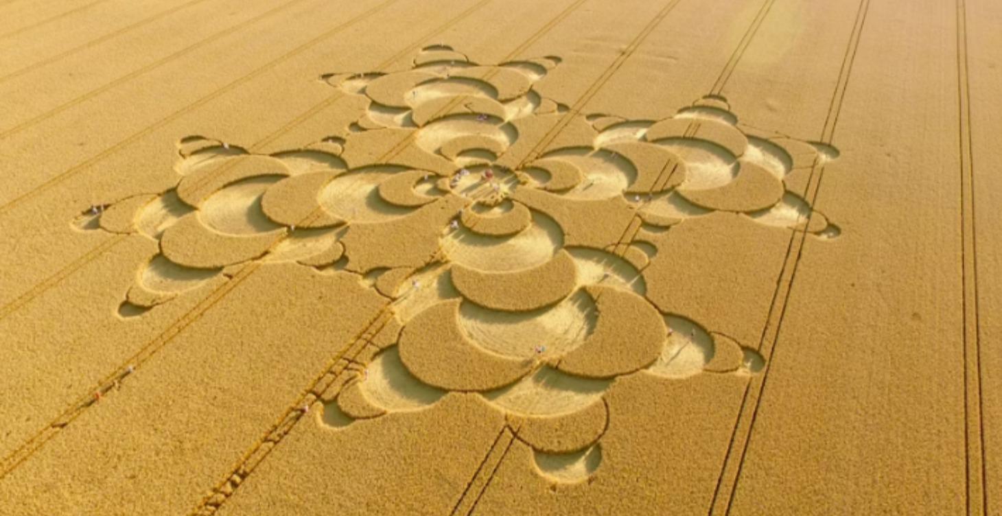 Crop Circles