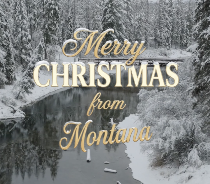 A little Christmas gift for you...