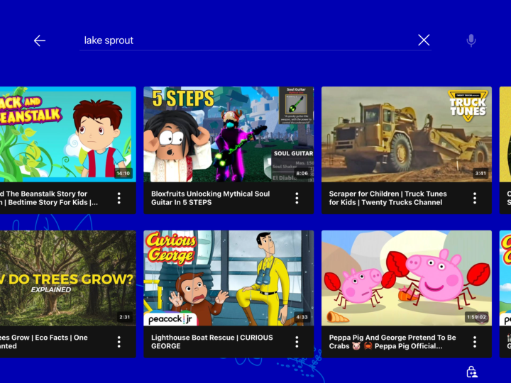 Lake sprout lying about yt kids shit