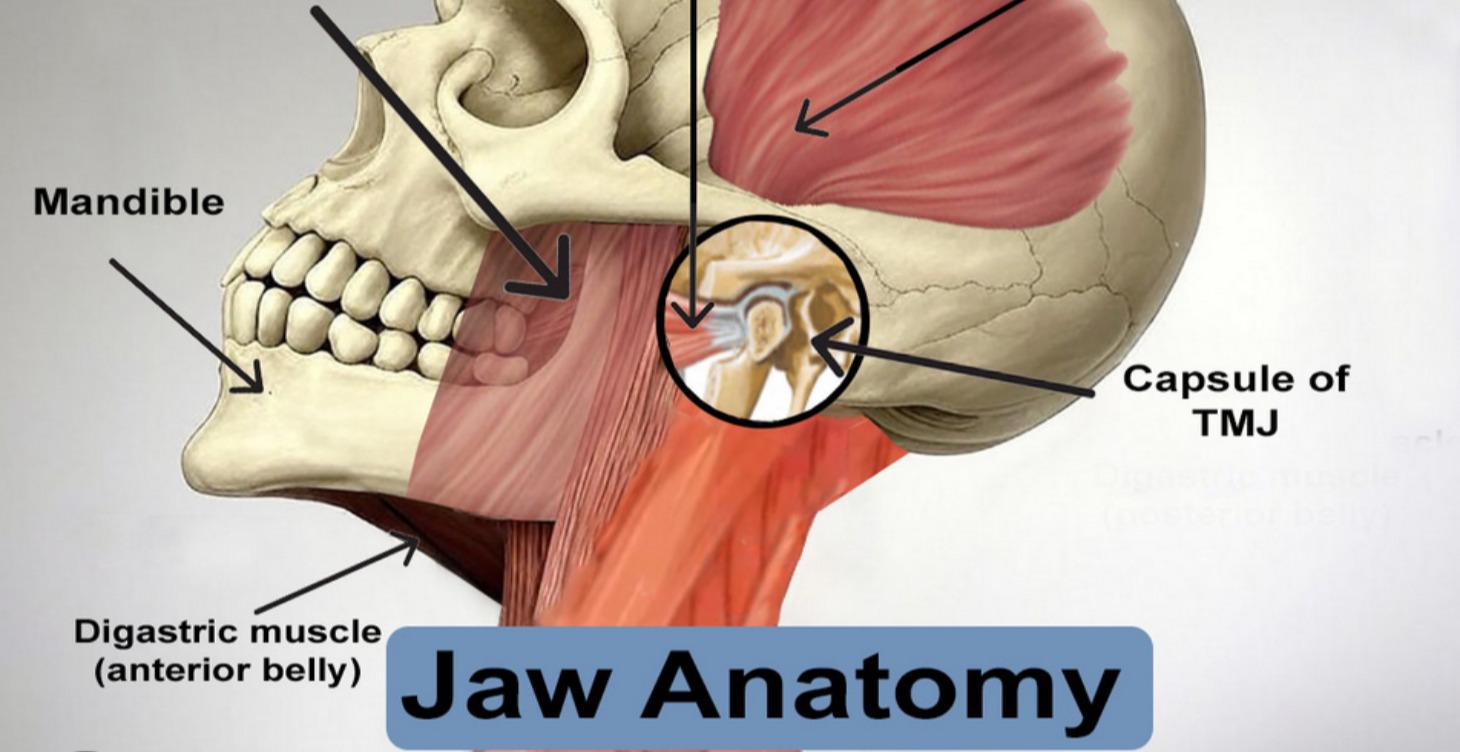 JAW -COMING UP