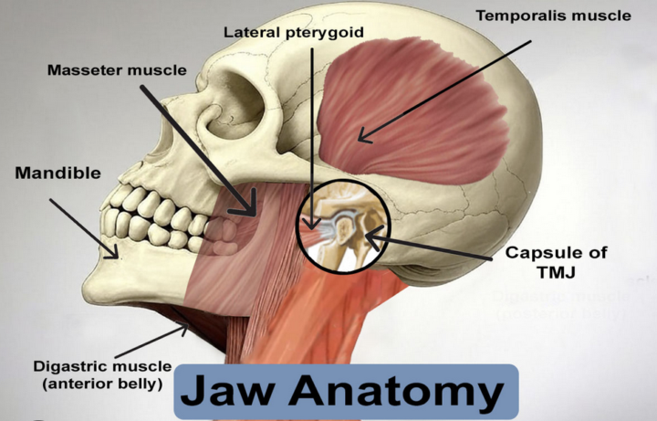 JAW