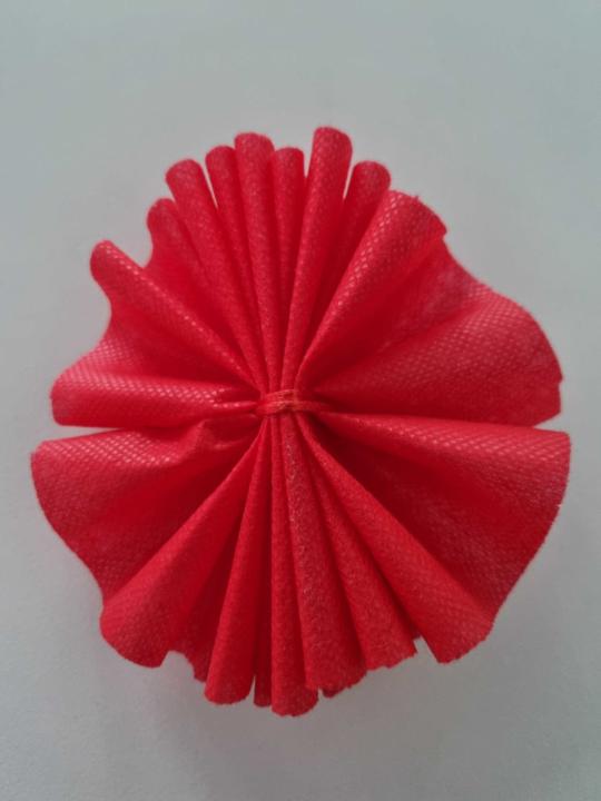 Светлана Станчева