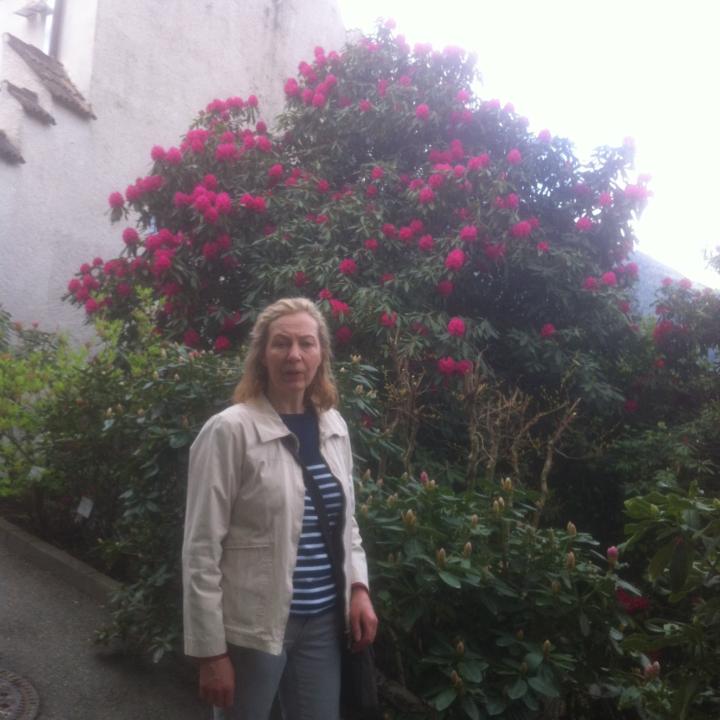 Lotti Eiblmeier