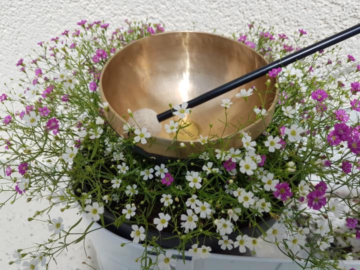 Birgit Hauke