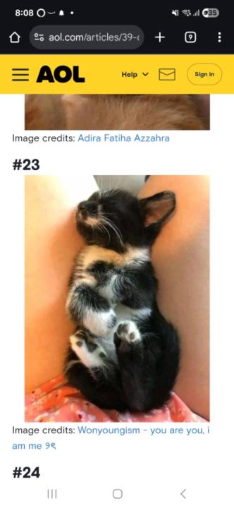 Ana María Guevara Vargas