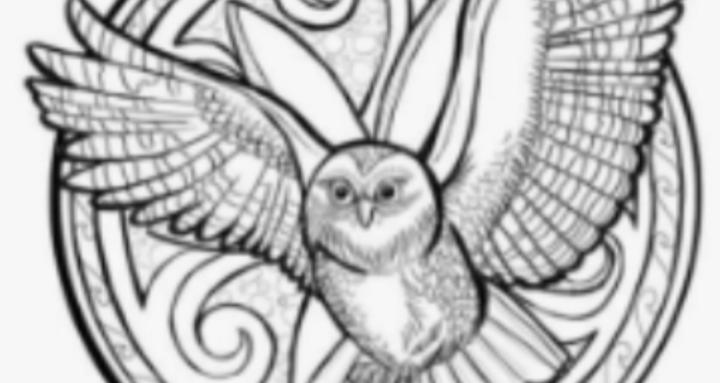 Kuinirakau Te Ao Maori