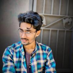 Talha Hameed