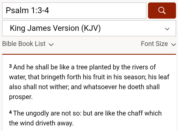 It's in the WORD!!! ⚠️