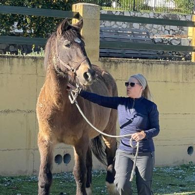 Chivi Silvina Massia